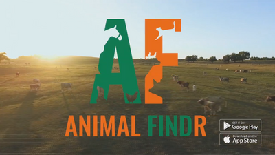 Animal Findr