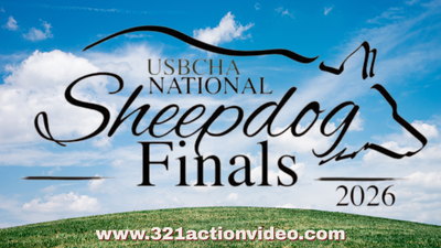 USBCHA Sheepdog Finals