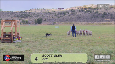 2023 USBCHA Nations Sheepdog Champion -Scott Glen and Pip