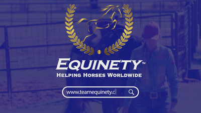 Equinety