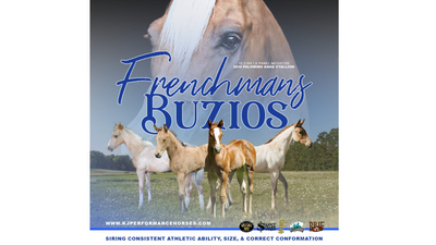 Frenchmans Buzios