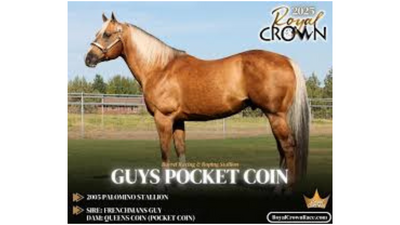 Guys Pocket Coin