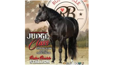 Judge My Class