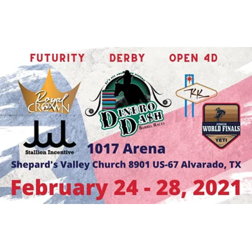 Results & Winning Run from Dinero Dash Barrel Race Alvarado, TX Feb 25-28, 2021