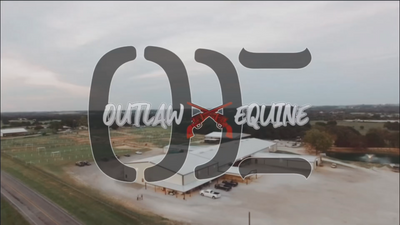 Outlaw Equine