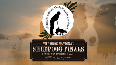 2025 USBCHA Sheep Dog Finals