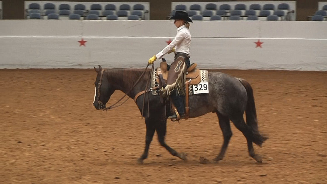 Order Videos - Breed Shows – 3-2-1 Action Video