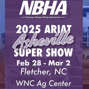 Order Video of Senior # 1 -  SUZANNE CASTILLO - BLACKBURN STEEL - No-Time at NBHA Ariat Supershow - Asheville  NC Feb 28-Mar 2 2025