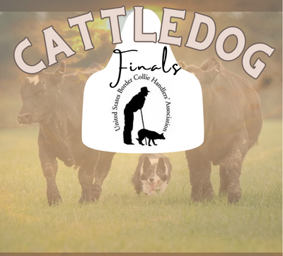 Order videos from 2025 USBCHA Cattle Dog Finals