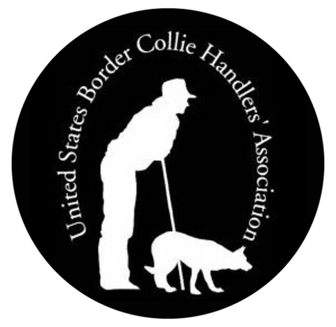 Usbcha Order videos from 2025 USBCHA Sheep Dog Finals – 3-2-1 Action Video